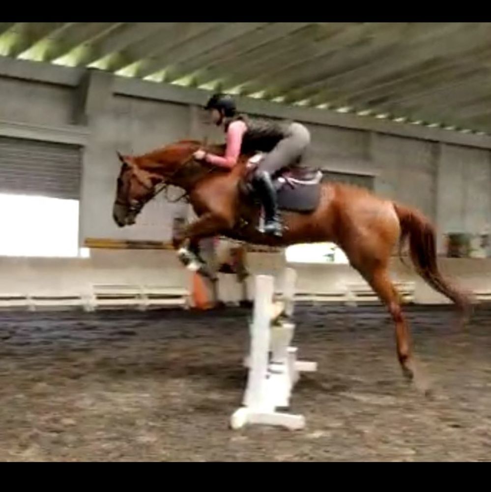 Meet your Posher, Venessa